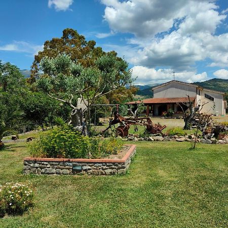 Azienda Agrituristica Verdevalle Cicerale Εξωτερικό φωτογραφία