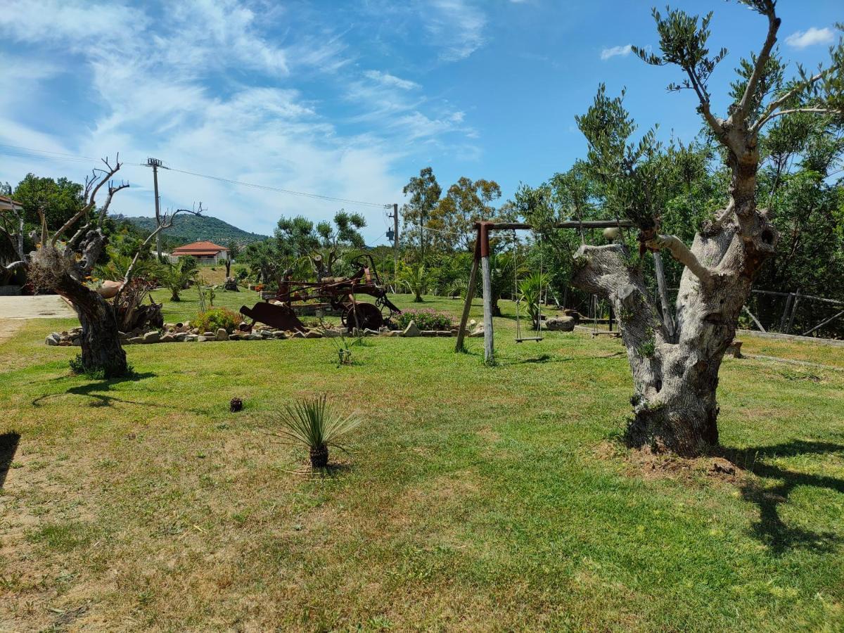 Azienda Agrituristica Verdevalle Cicerale Εξωτερικό φωτογραφία